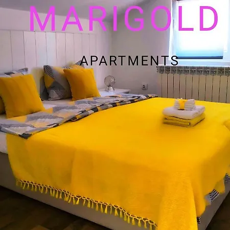 Oldtown - Marigold Group